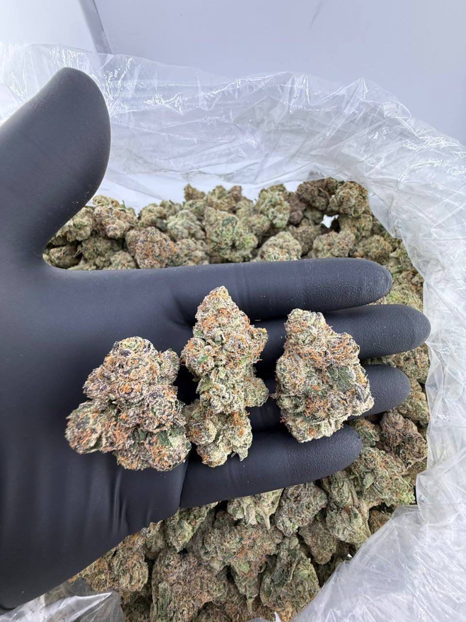 Lemon Wafers Gelato 1 Pfund - Image 2