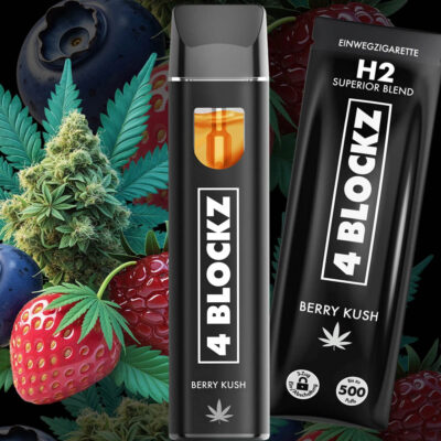 4 Blockz H2 Vape Berry Kush 1ml DE