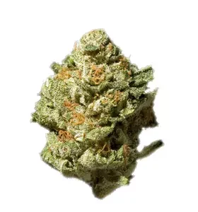 619 Saturn OG Cannabis