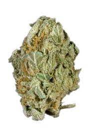 Full Moon Marijuana Strain