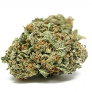 Black Domina Cannabis Strain