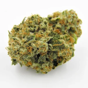 Kosher Kush Marijuana Strain