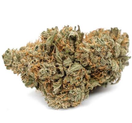 Pineapple Weed Flower DE