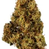 91 Chemdawg Weed Strain