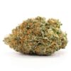 Comatose Marijuana Strain DE