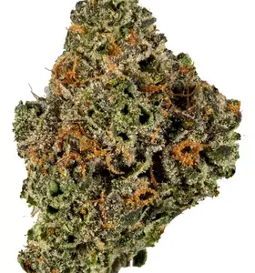 Dolato Cannabis Strain DE