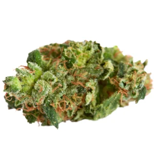 Green Dragon Weed Strain