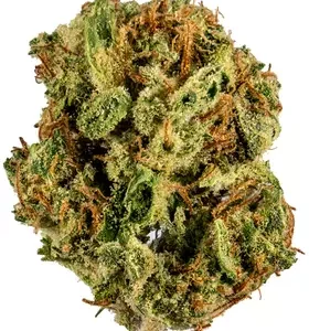 Buy Gumbo Marijuana Flower DE
