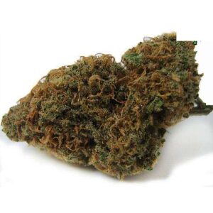 Hindu Kush Weed Strain
