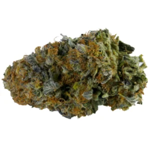 Hogs Breath Marijuana Strain De