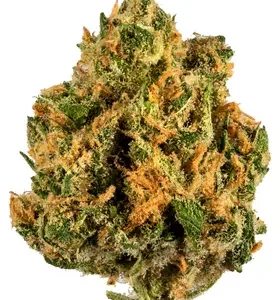 Island Sweet Skunk DE