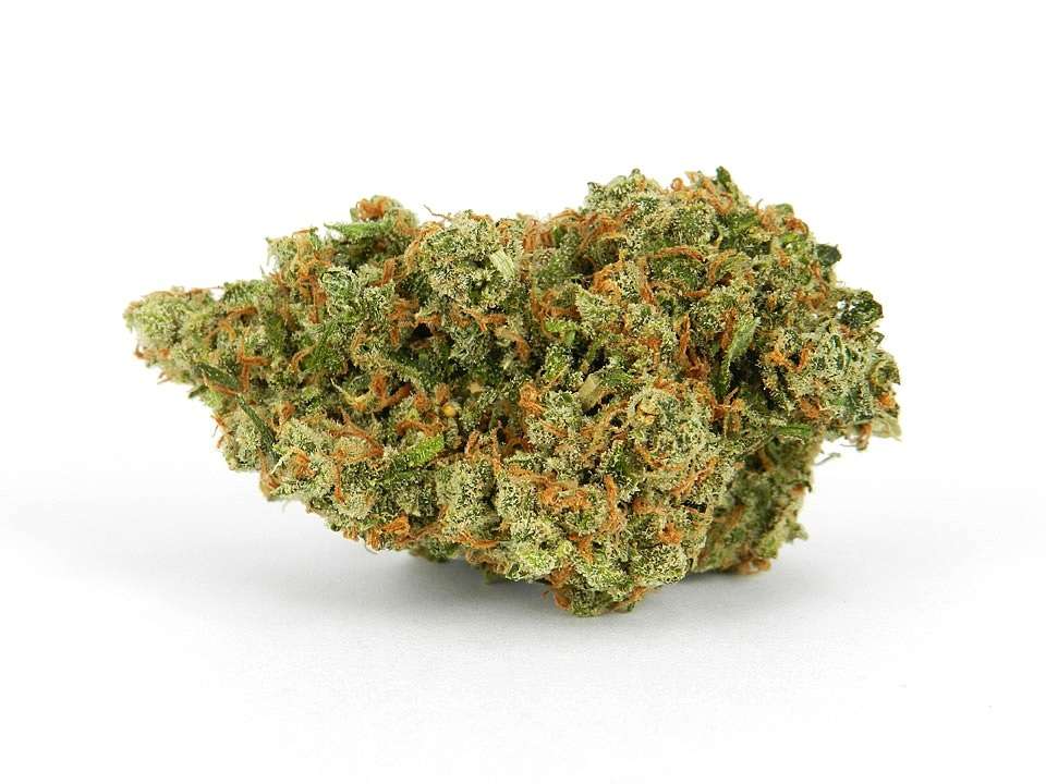 Jack Herer Medical Weed