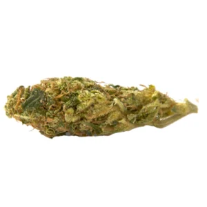 Nicole Kush Marijuana Strain
