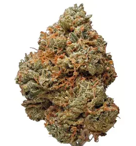 Night Terror OG Cannabis