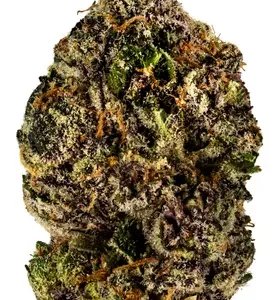 Platinum Purple Weed