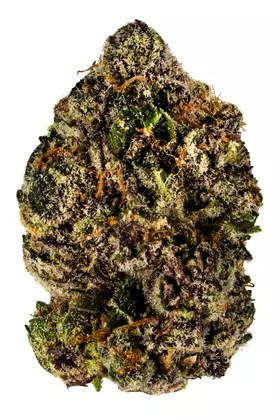 Platinum Purple Weed