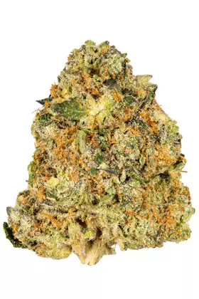 Buy Pomelo Weed Strain