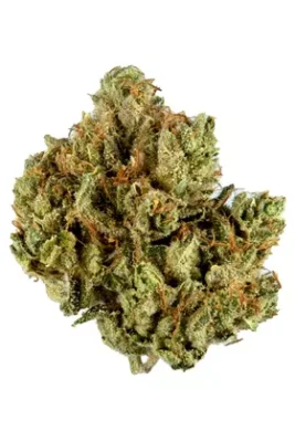 Stardust OG Cannabis