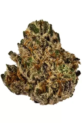 Strawberry Shortcake Weed