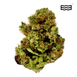 Peanut Butter Breath Weed