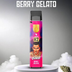 Gzuz H2 Superior Blend Vape – Beerengelato 1 ml
