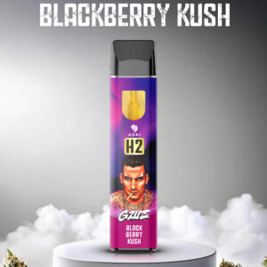 Gzuz H2 Superior Blend Vape – Blackberry Kush 1 ml