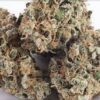 Timewreck Marijuana Strain
