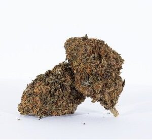 Grape Sorbet Marijuana DE