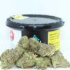Gelato Mintz Cannabis DE
