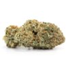 Jack Diesel Cannabis UK