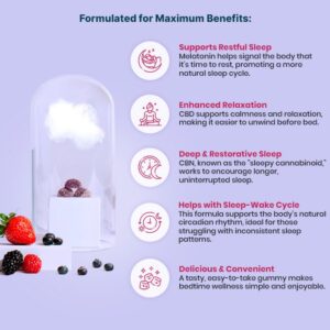 Joy Organics CBD Sleep Gummies CBN THC Nighttime Berry Full Spectrum 30ct 30mg THC 90mg CBN 900mg CBD 2