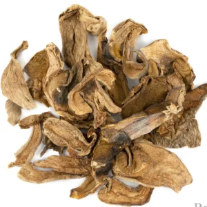 PORCINI DRIED MUSHROOM DE